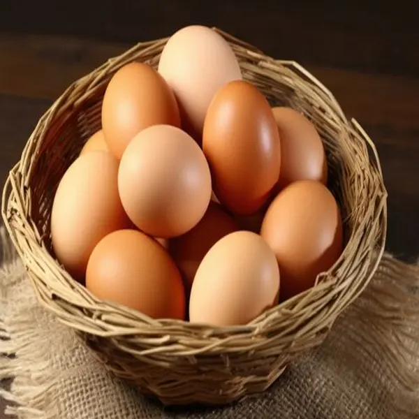 Brown egg